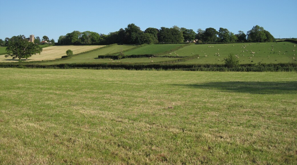 St Mary's Church from Chinnock Brook