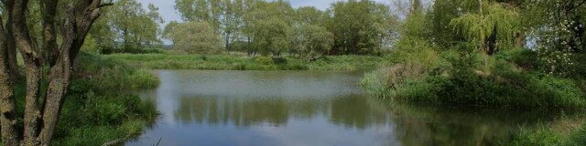 Wild Fowl Reserve on Ashmead Drove I couldn't gain access to the reserve as the gate was locked. I assume the public are allowed in at some time as there was a lifebelt and a notice warning against swimming nailed to a tree.