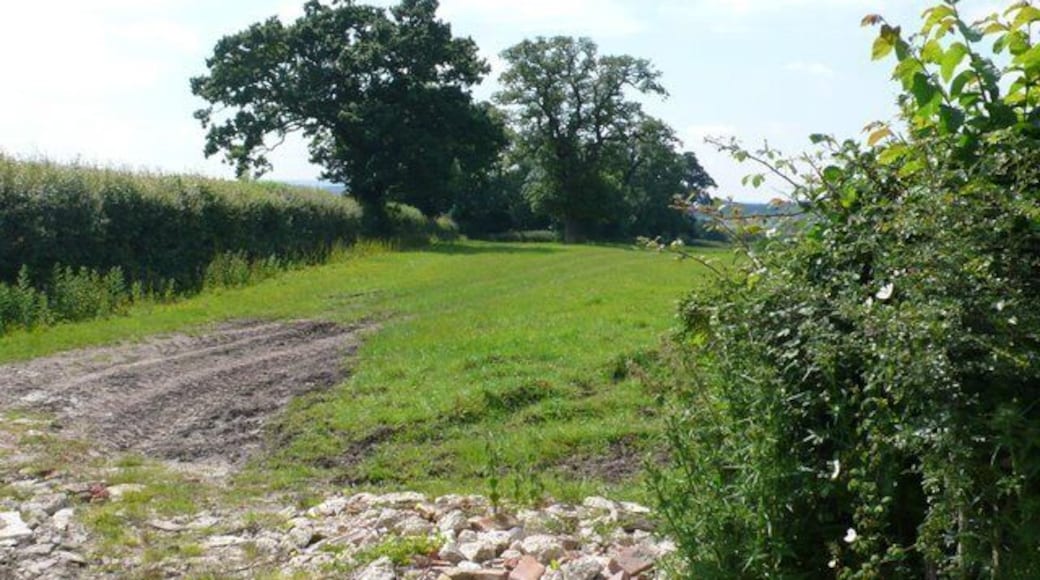Countryside near Springfield farm Fields just off the minor road that runs from Clarkham Cross to Closworth