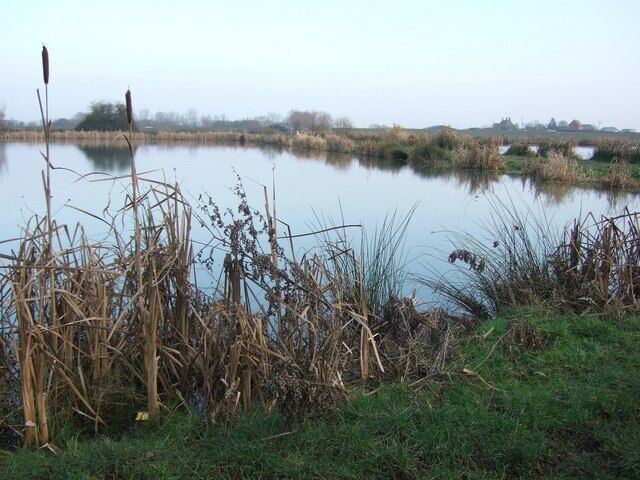 Ash Lakes A view across two of the three fishing lakes beside Ashmead Drove.