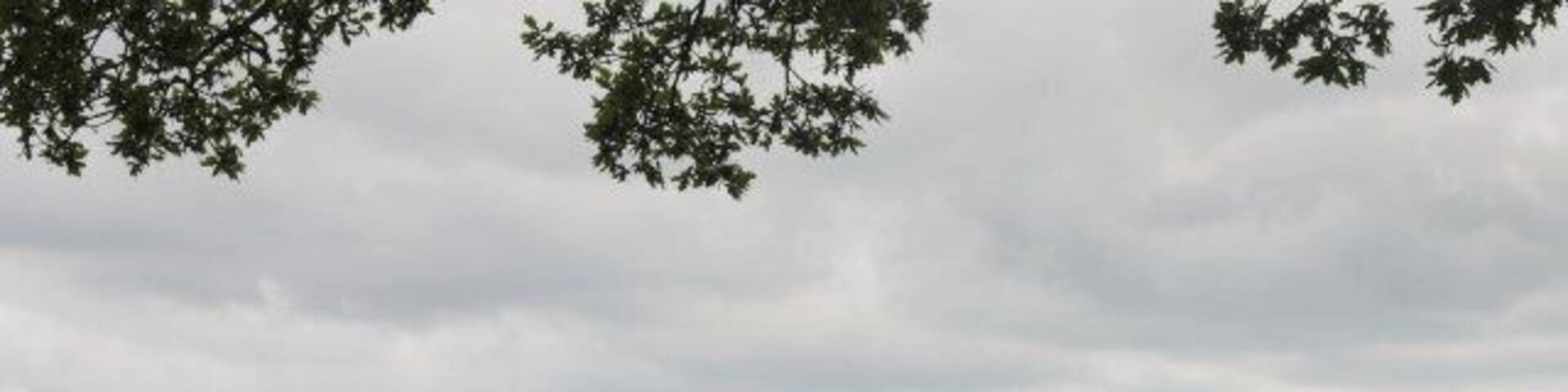 Rig and Furrow near Salton To the South East of the village is a low hill which seems to be unsuitable for arable farming. The area is in grassland, mainly grazing, and shows pronounced medieval rig and furrow ploughing ridges.