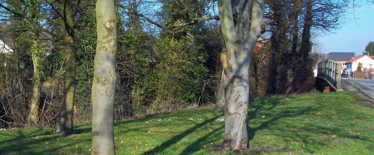 A grassy area with trees and a stone bridge in the background.
