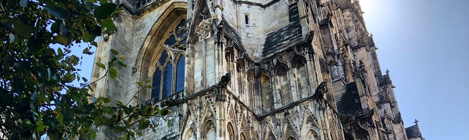 #Trovember
#york
#yorkminster