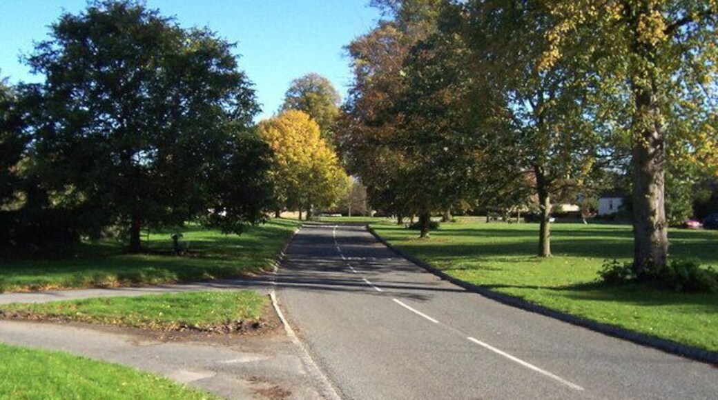 Village Green, Roecliffe The village has been tidily arranged around this extensive green, which boasts several species of tree