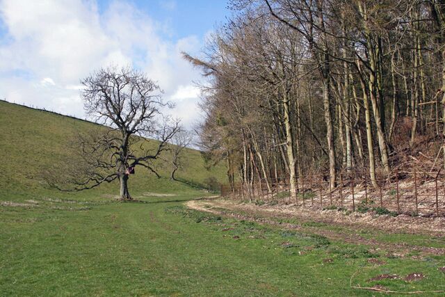 Oxlands Dale, near Huggate, East Riding of Yorkshire, England.