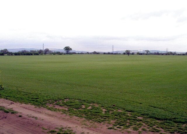 A Crop of Grass, Everingham, East Riding of Yorkshire, England. Many of the fields around here seem to grow grass for turf manufacture. The soil is very fine and sandy.