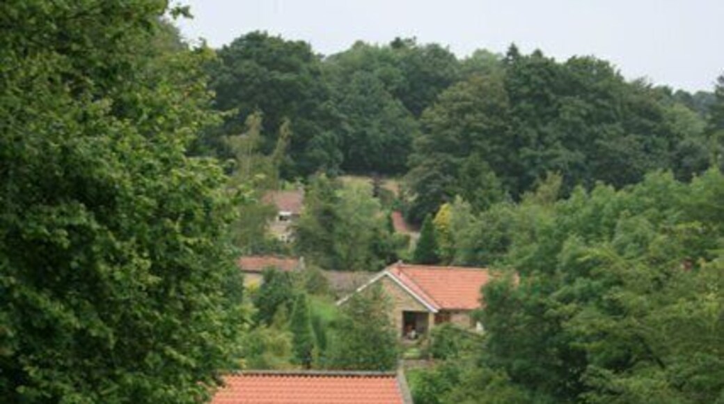 Approaching Lastingham ... ... from the Public Footpath from Oldfield Lane.