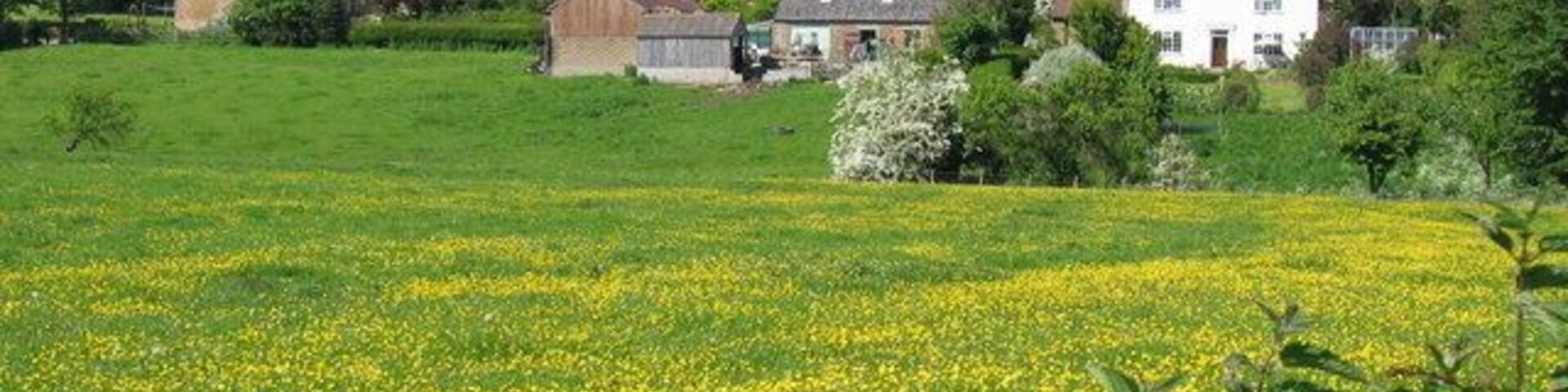 Stearsby - West. Looking north to the west side of Stearsby on the east edge of the grid square.