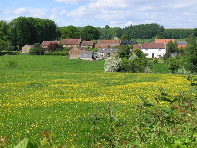 A rural landscape with a field of yellow flowers, green grass, and houses in the background.