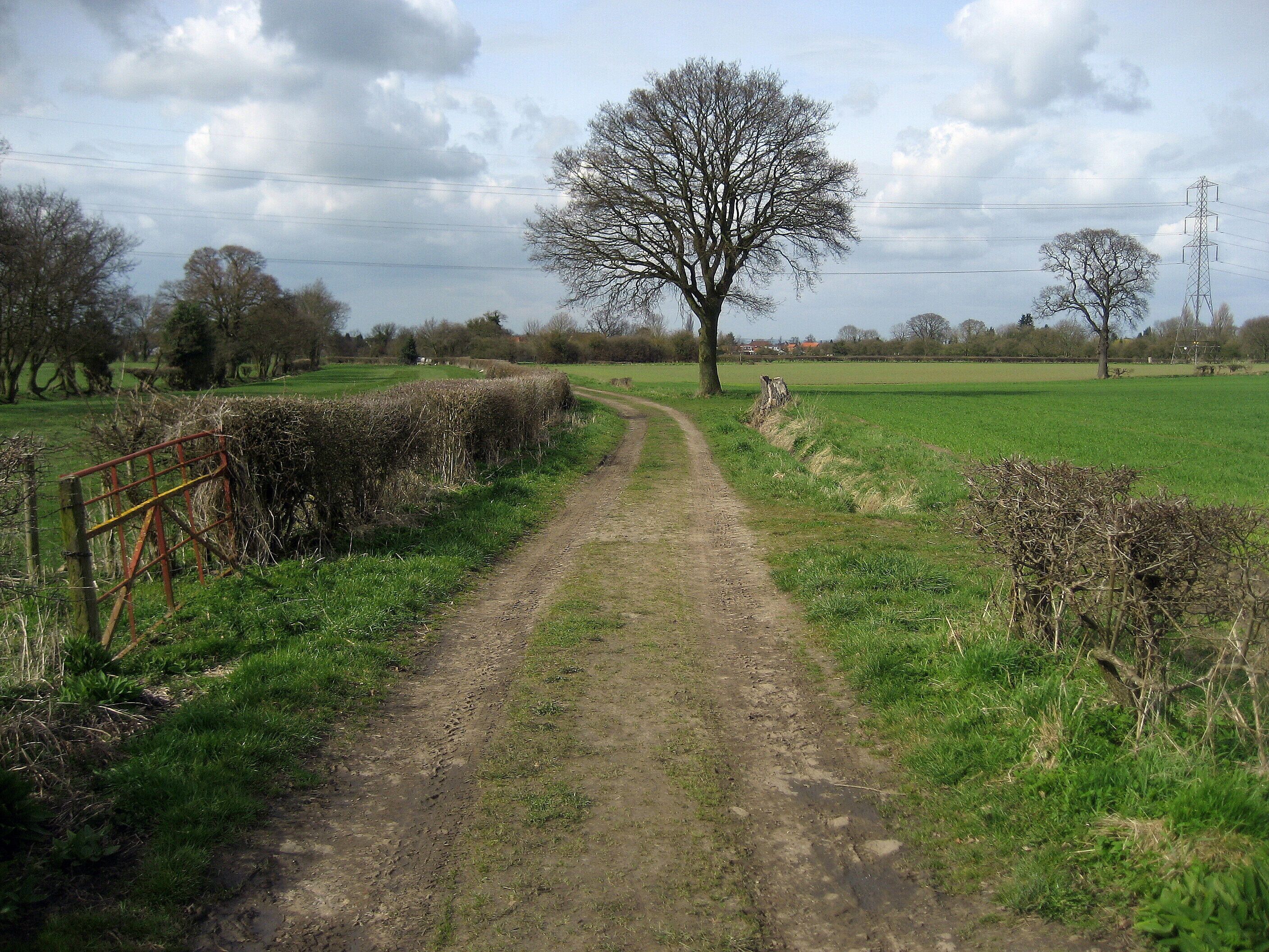 On Carrbank Lane Runs north from pastures, into the village of Stockton in the Forest.
