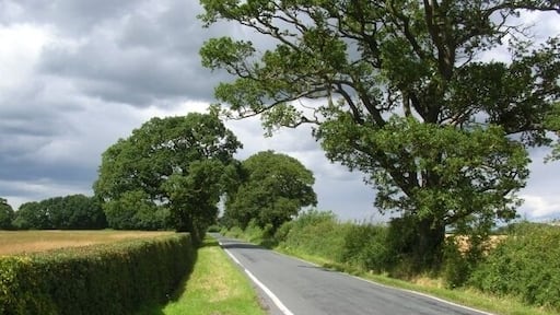 Moor Lane next to golf club Runs from Skelton to Corban Lane. This is outside the Forest of Galtres golf club.
