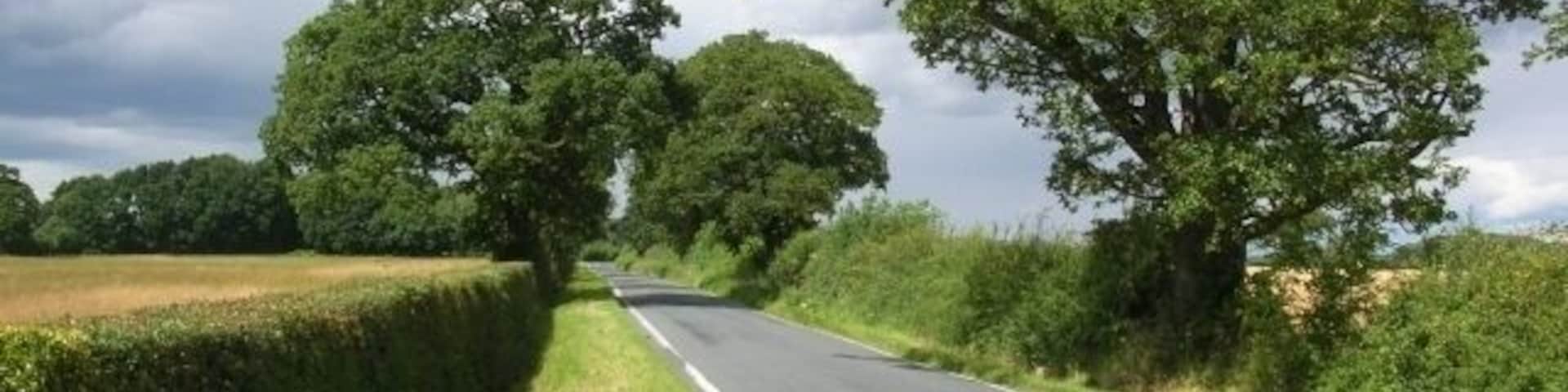 Moor Lane next to golf club Runs from Skelton to Corban Lane. This is outside the Forest of Galtres golf club.