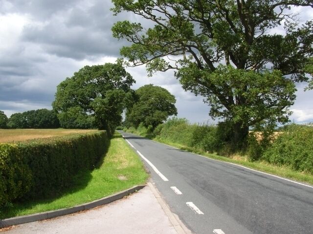 A rural road flanked by trees and hedges under a cloudy sky.