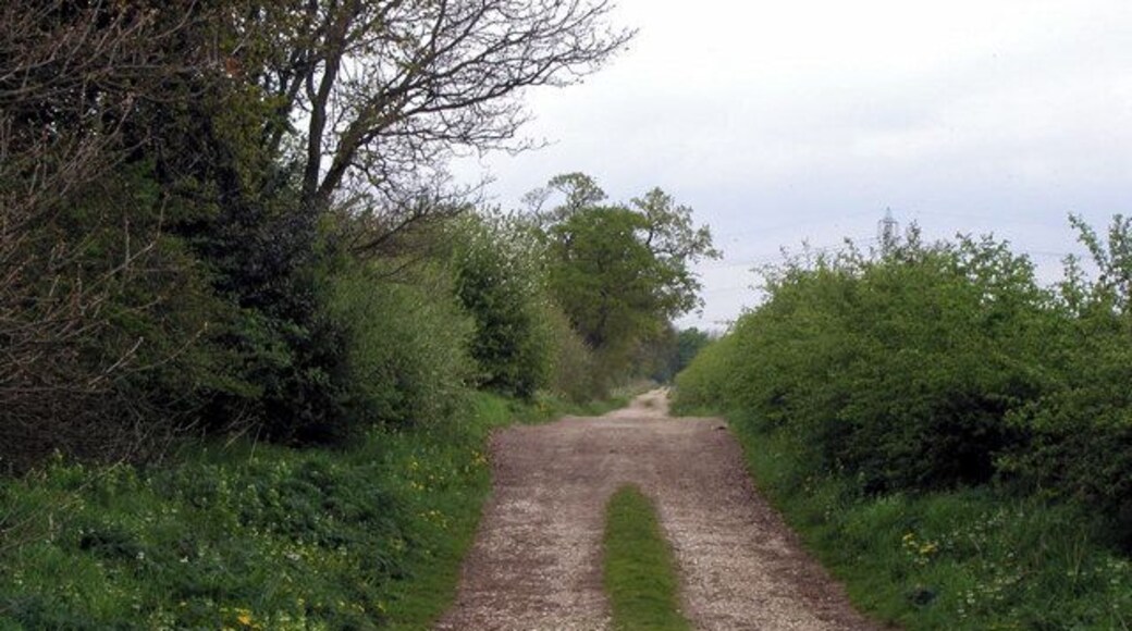 Halfacres Lane, Everingham, East Riding of Yorkshire, England. This is a public bridleway near to Everingham.