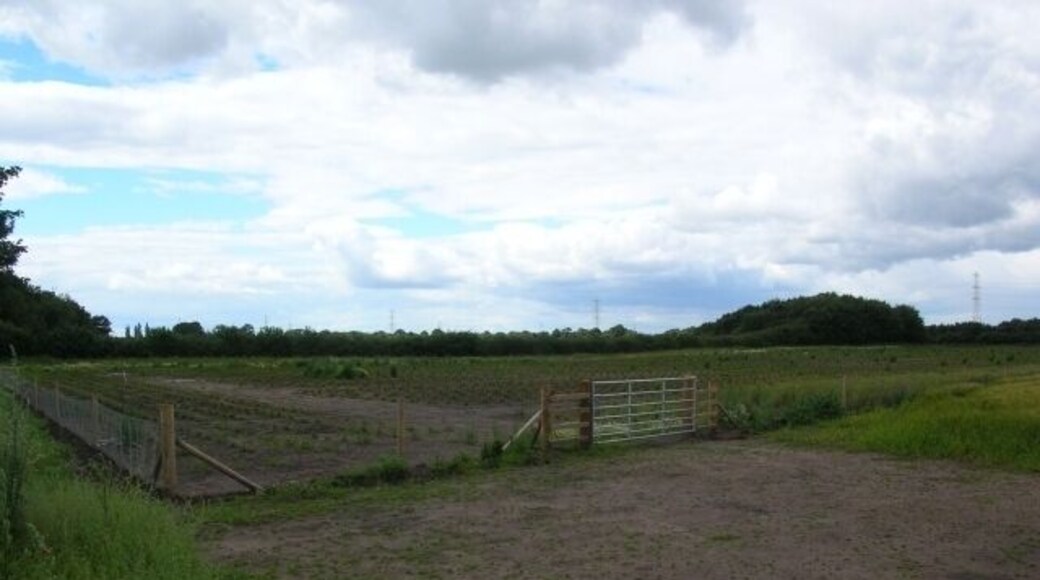 Vegetable garden Next to the crossroads of Corban Lane and Moor Lane.
