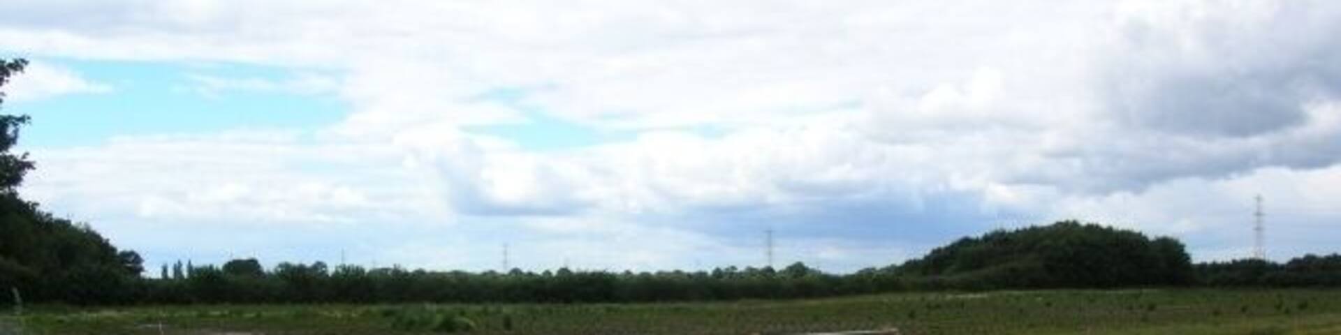 Vegetable garden Next to the crossroads of Corban Lane and Moor Lane.