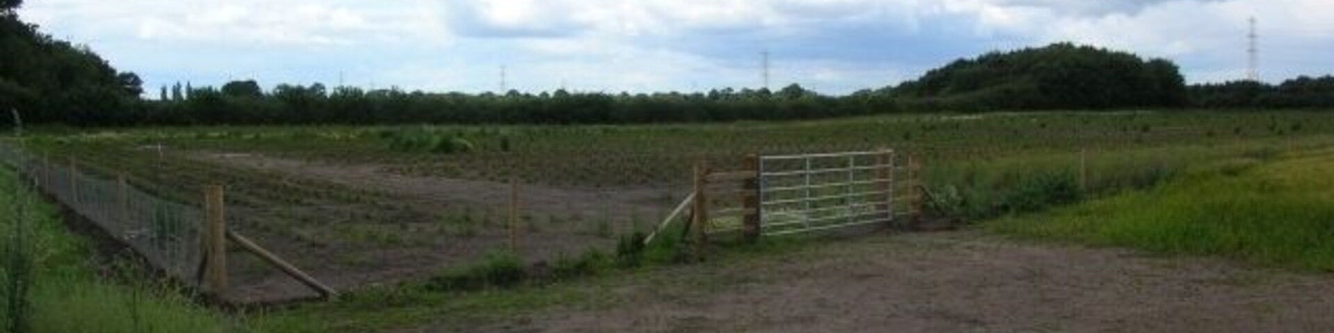 Vegetable garden Next to the crossroads of Corban Lane and Moor Lane.