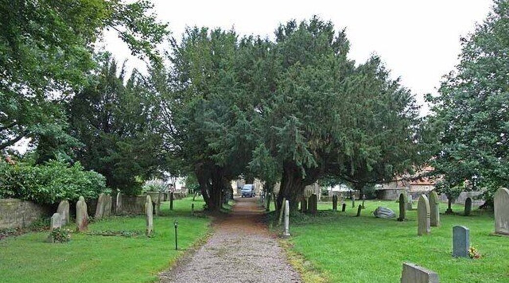 St Mary, Roecliffe, North Yorkshire - Path to church