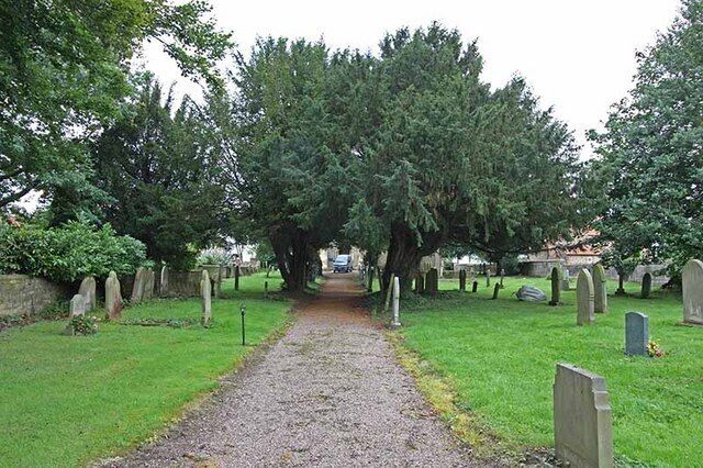A cemetery with a gravel path, gravestones, and large trees.