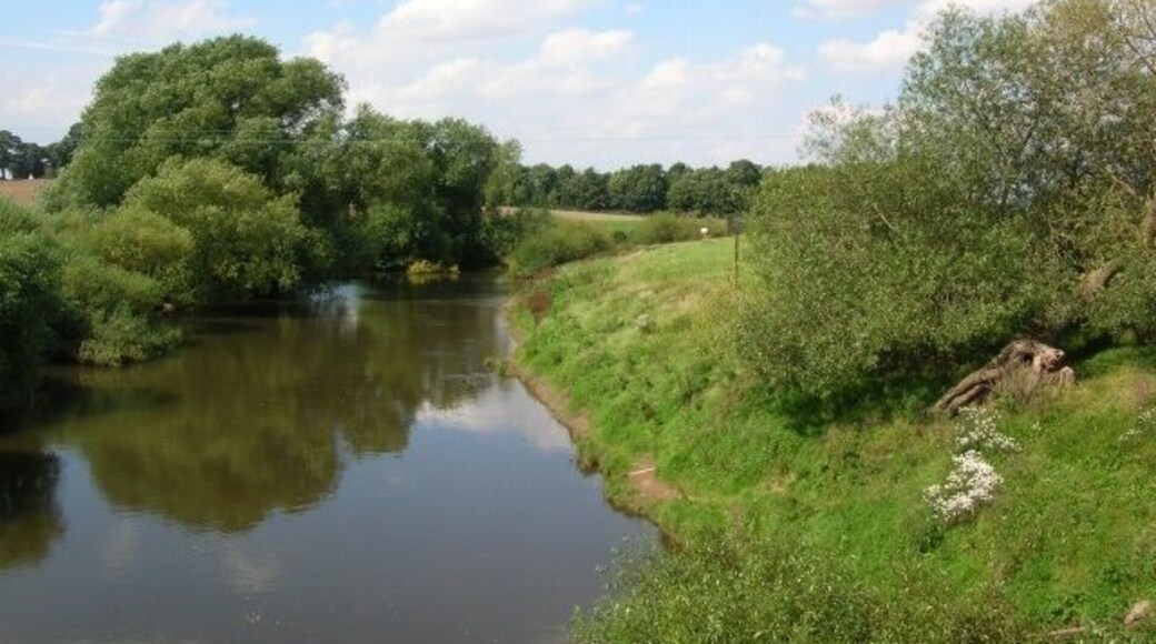 River Swale Looking upstream on the Swale from Brafferton bridge.