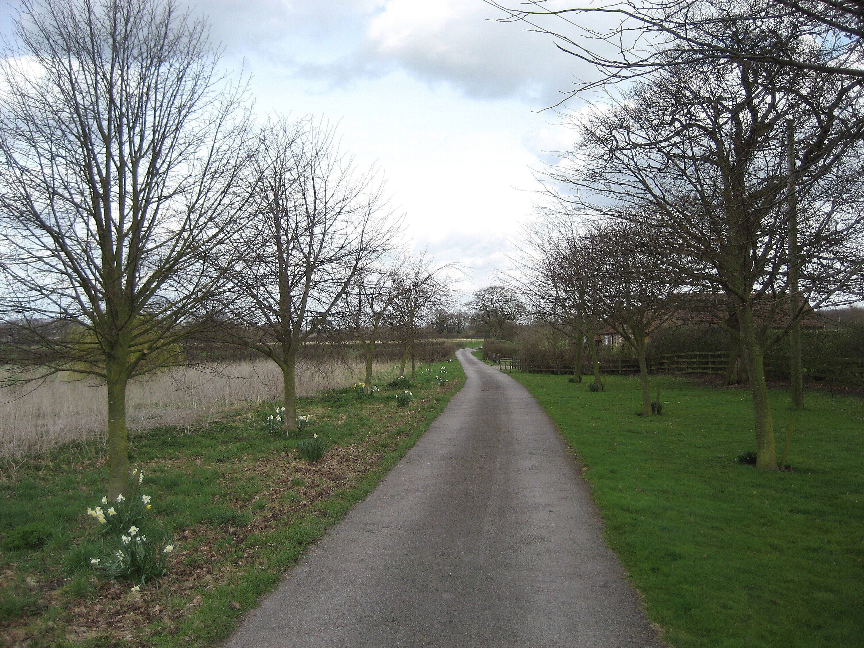 Access Lane leading from Carlton Farm Access from the farm to Common Lane, to the north of Warthill.