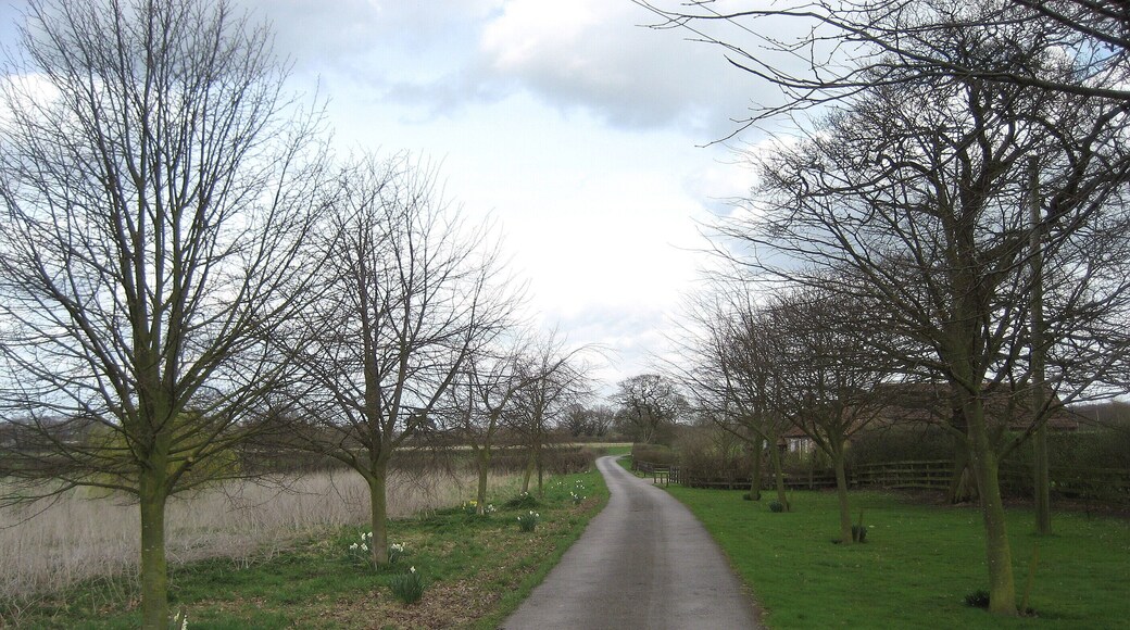 Access Lane leading from Carlton Farm Access from the farm to Common Lane, to the north of Warthill.