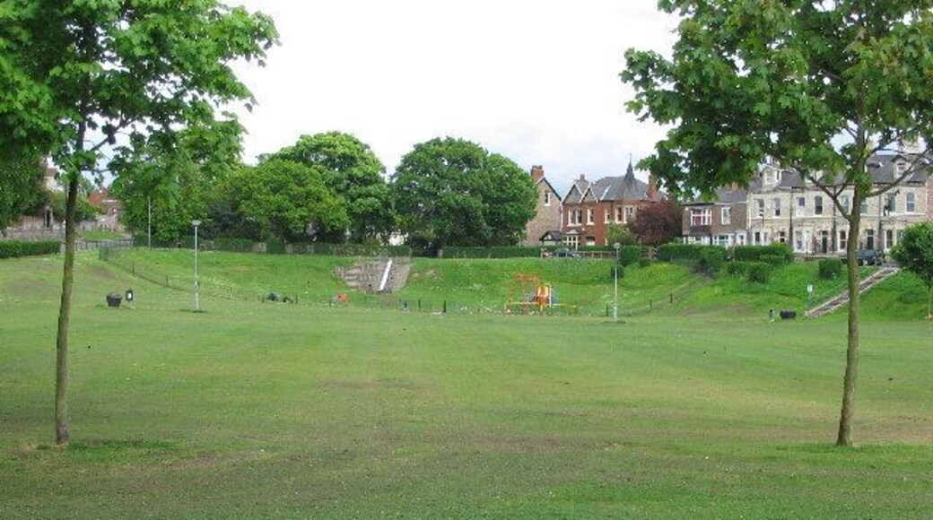 Acomb Green. One of the very few Greens left in York.