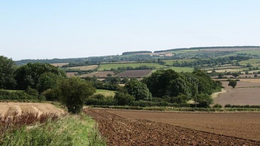 East from Spy Hill Looking east from the footpath over Spy Hill towards the Wolds.