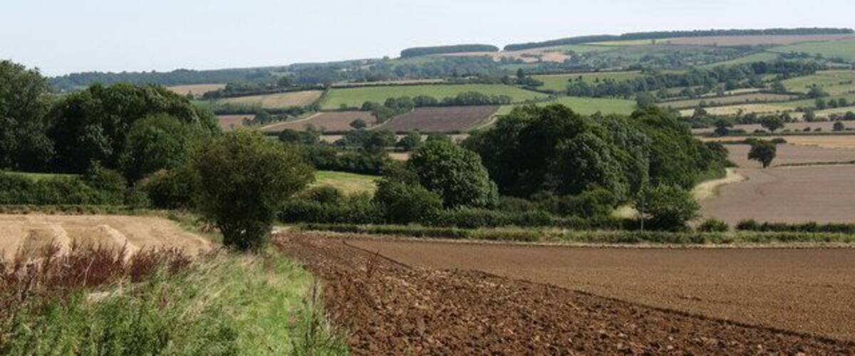 Rolling hills, fields, and scattered trees.