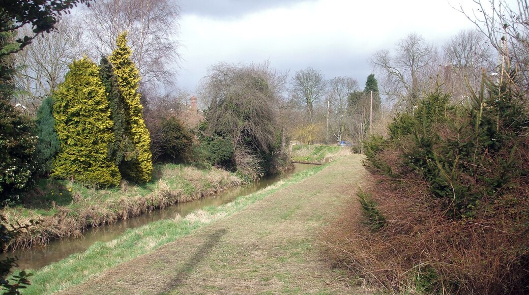 Foss Beck In March Taken from the Water Board Gate slightly north of Butcher Bridge facing north shortly after the grass had been cut. With the sun shining the area appears clean and tidy.