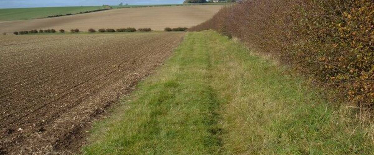 Footpath near Glebe Farm, Huggate, East Riding of Yorkshire, England.