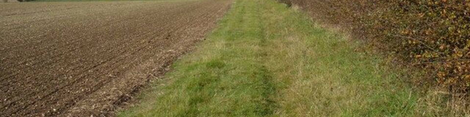 Footpath near Glebe Farm, Huggate, East Riding of Yorkshire, England.