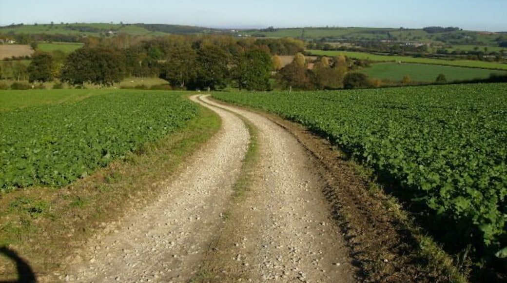 Track to Stocking Hall near Crayke