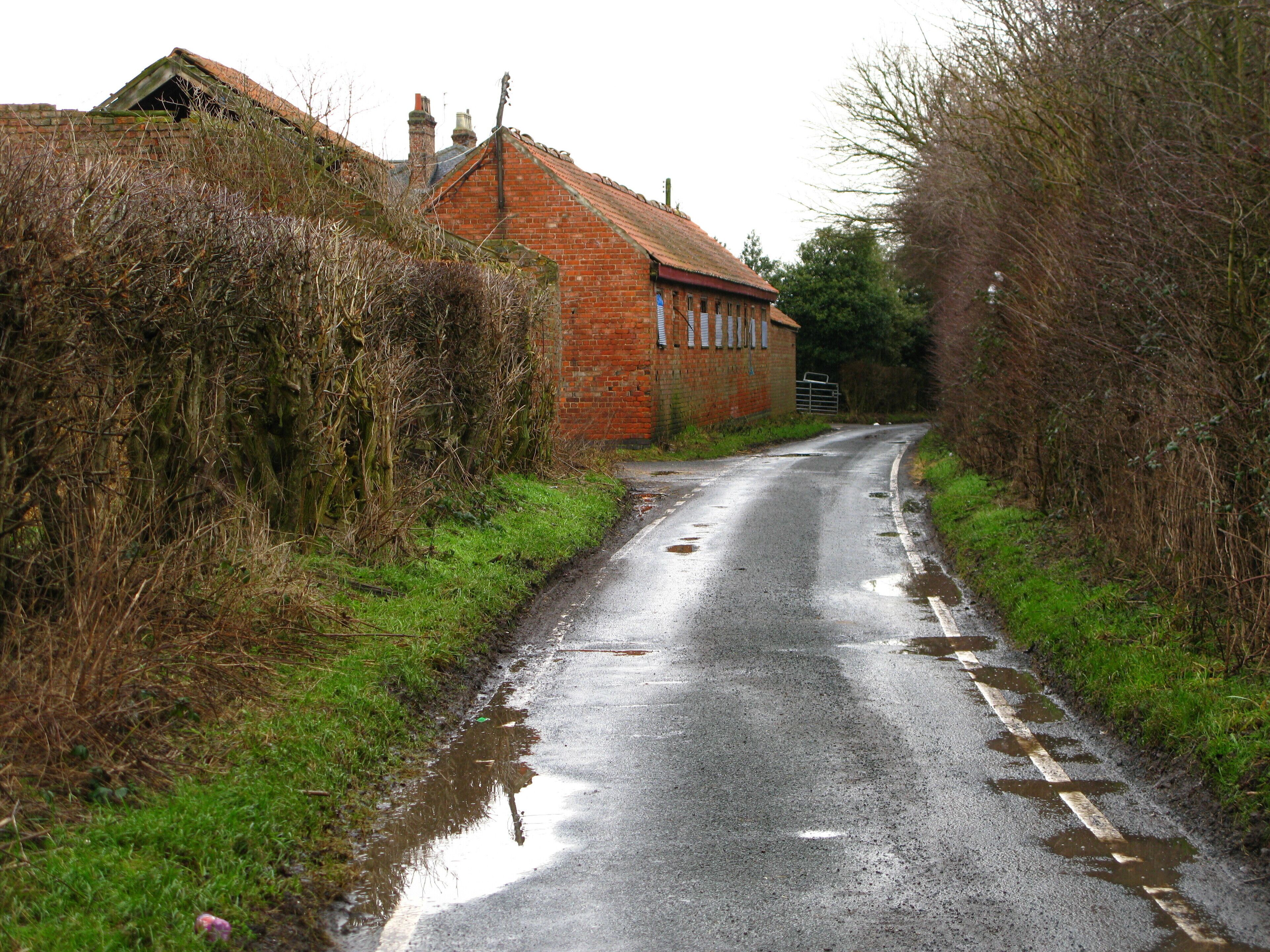 A narrow, wet rural road flanked by overgrown vegetation and a brick building.