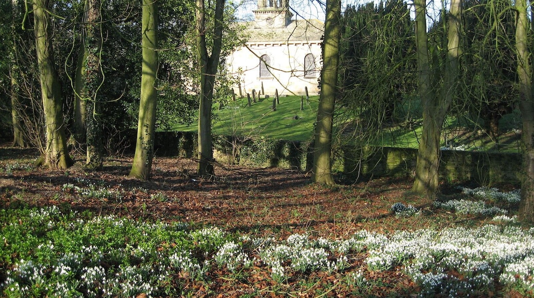 All Saints Church, Brandsby, and snowdrops