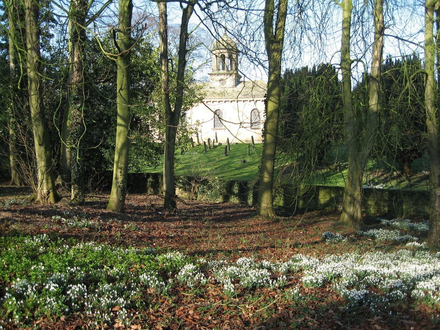 All Saints Church, Brandsby, and snowdrops