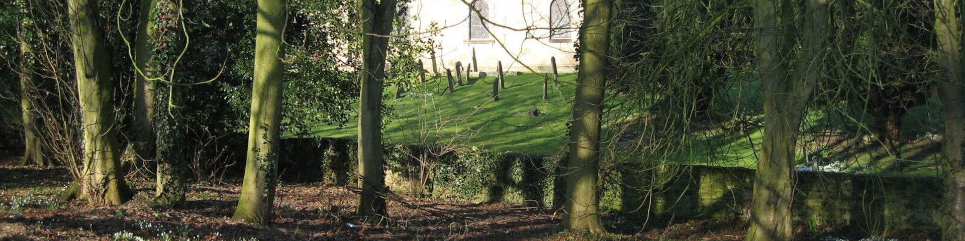 All Saints Church, Brandsby, and snowdrops