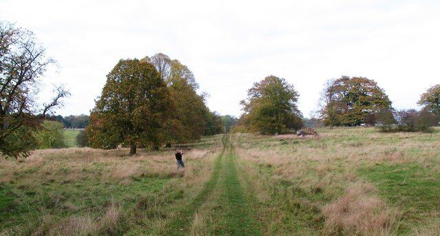 Landscaped parkland, Londesborough, East Riding of Yorkshire, England. Part of the parkland of the original Londesborough Hall which was laid out in the 1730s by Lord Burlington and his gardener Thomas Knowlton. Avenues of trees include turkey oak, lime, walnut and beech.