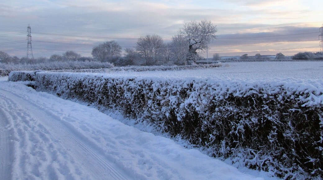 2010 Wilberfoss, East Riding of Yorkshire, England. Birker Lane Field Head Junction This is taken from the exact spot where SE7351 : 1991 Winter In Wilberfoss was taken.