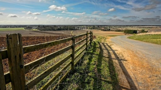 Holme on Spalding Moor IMG_0699