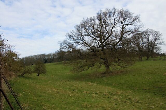Londesborough Park, Londesborough, East Riding of Yorkshire, England. Seen from the lane which skirts the western edge of the estate.