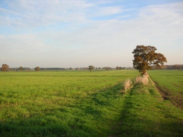 From the corner of East Field Lane Looking across farmland towards Ox Calder Way.
