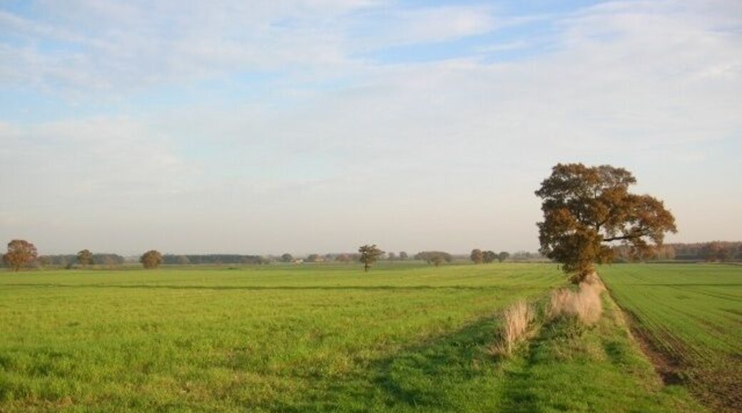 From the corner of East Field Lane Looking across farmland towards Ox Calder Way.
