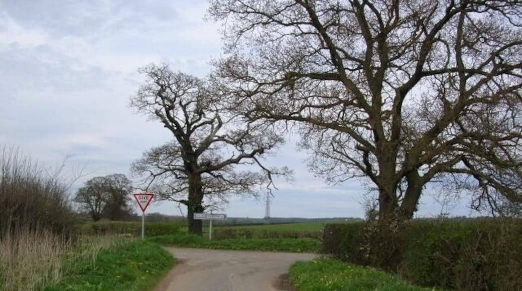 Junction on Barton Le Willows road Coming from Harton, on the right the road goes to Barton Le Willows, to the left leads to the A64.
