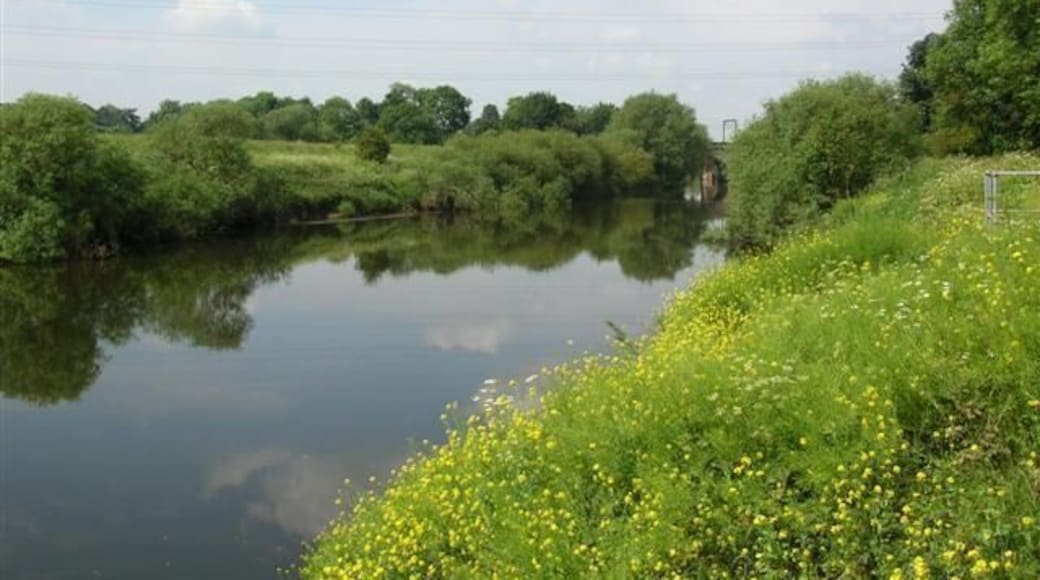 Ouse - Skelton Bridge. River Ouse from the east bank. Skelton bridge can be seen, carrying the railway over the river.