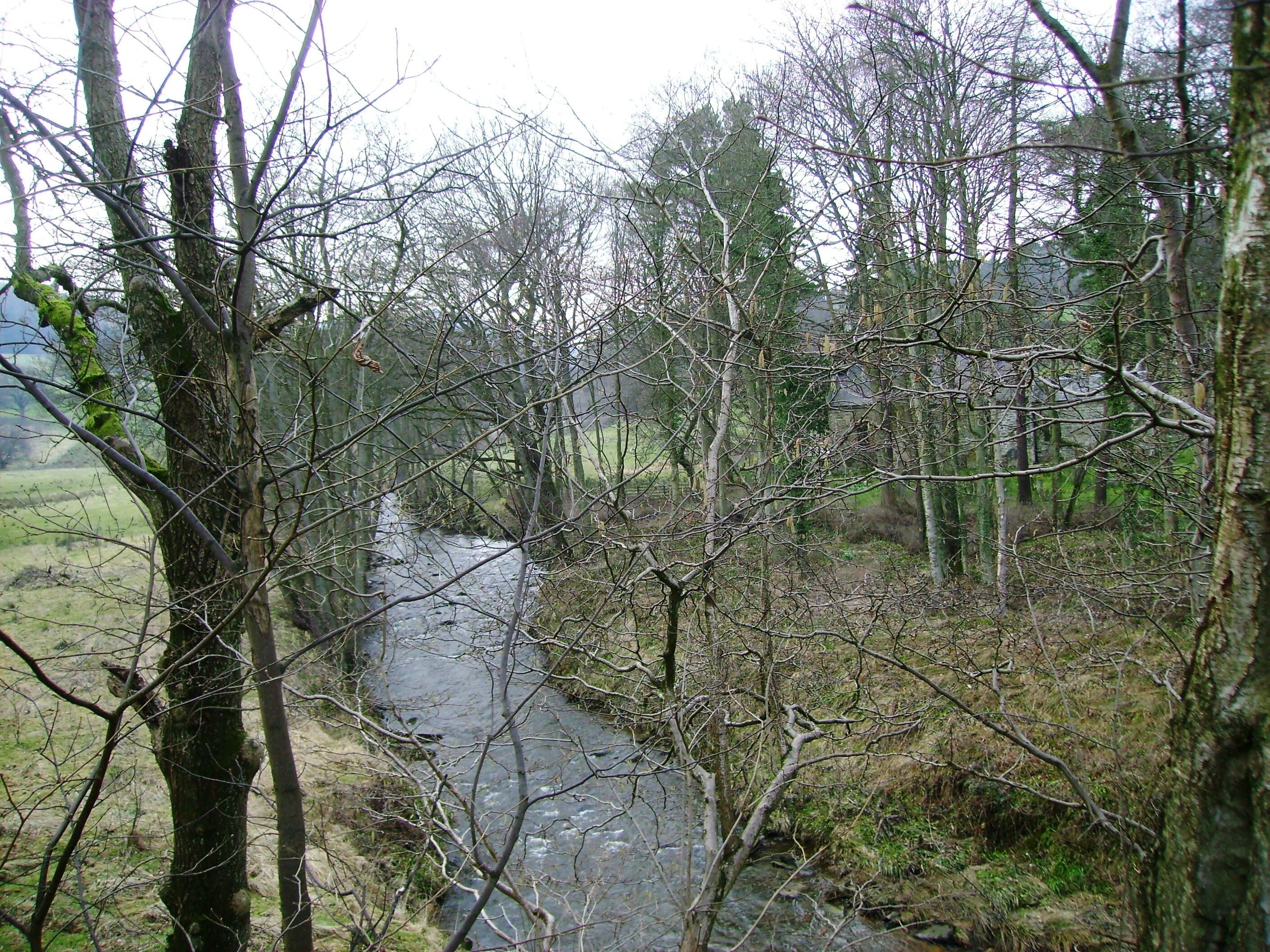 River Rye and All Saints Church The church is in the trees to the right, dated to the 12th Century, restored in the 14th Century and again 1874-1876.