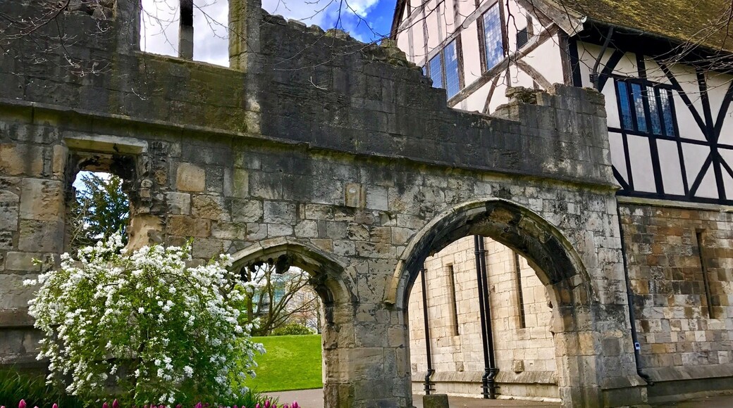 Museum Garden
#Springfun