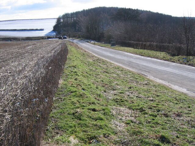 Howsham Wood. View south towards the wood along the road from Kirkham.