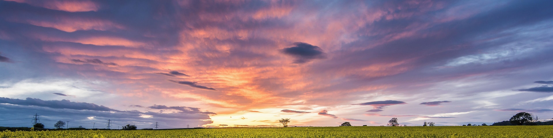 I arrived home to North Yorkshire and the sunset looked promising tonight so I headed out looking for something to photograph underneath it. Luckily there was this field. The only problem was the ugly pylons that march along the Vale of York