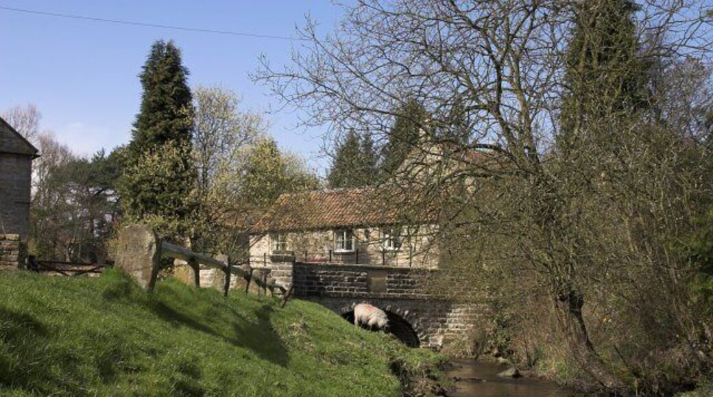 Small bridge over Ings beck at Lastingham. The stream rises on the moors North of the village.